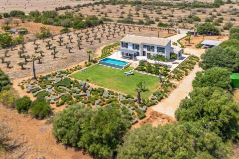 DJI_0502 copia 2.jpg