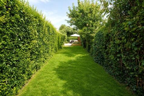 Reverse Garden
