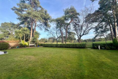 garden 3.jpg