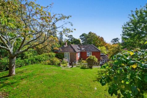 DSC_1145 (1280x85...