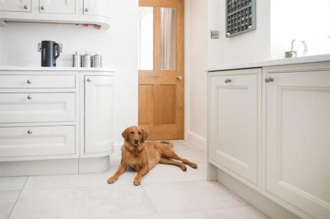 Amber (but not staying)