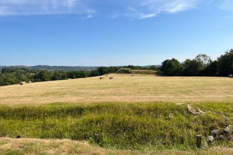 View From Garden