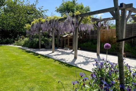 Wisteria In Bloom