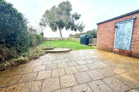 IMG_3449