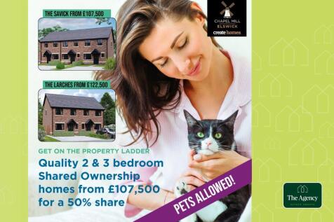 Get in touch today