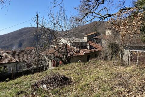 IMG_7574.jpg
