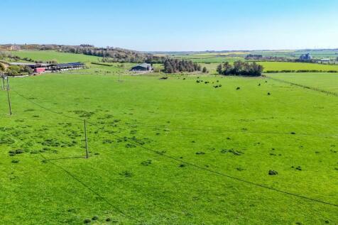 DJI_20260423145541_0198_D.jpg