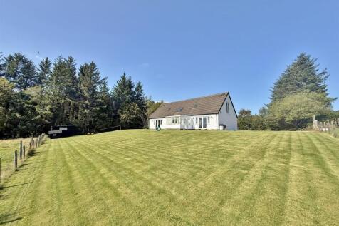 Front garden and wooded area