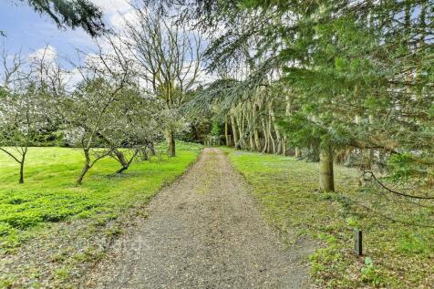 Driveway/Parking