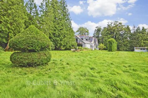 Rear Gardens*