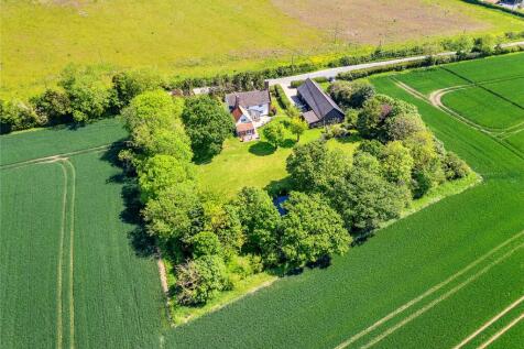 Aerial Shot