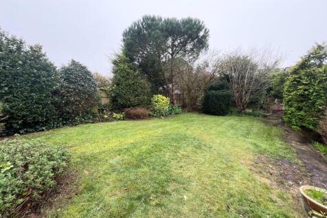 Back Garden