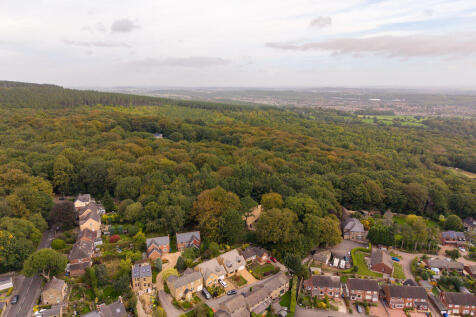 Aerial Image