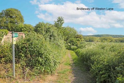 Bridleway.jpg
