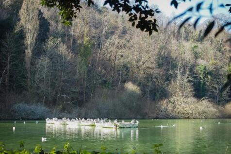 Swanbourne Lake, Arundel