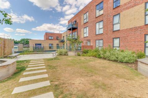 Communal Roof Garden
