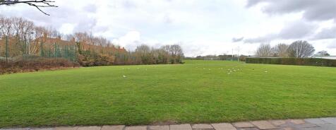 Fields behind garden