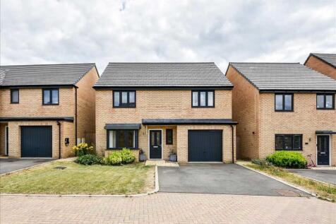 Main Picture