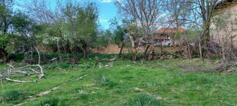 Grassy land showing dirt tracks leading to a stone wall surrounded by trees, with houses visible beyond the wall.