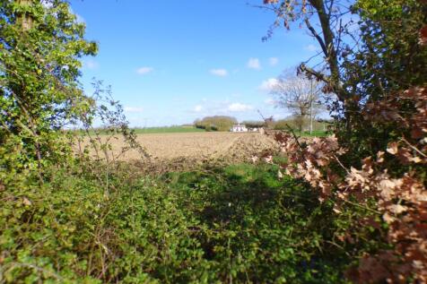 Field Views