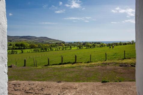 View from The Parlour