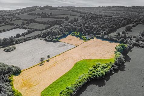 Black and white and colour photo (1)_edited.jpg