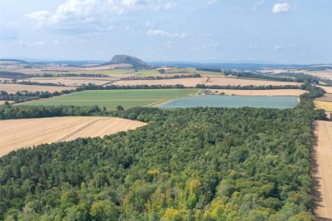 Lot 3 - Ninewar Wood