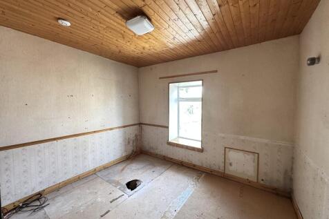 IMG 2109 T202505291613.jpg