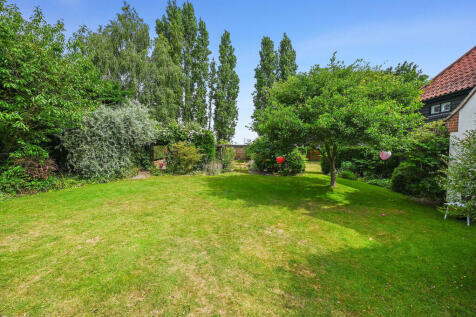 OL-FC(COL)-Mitche...