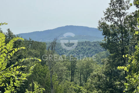 Panorama e Particolari