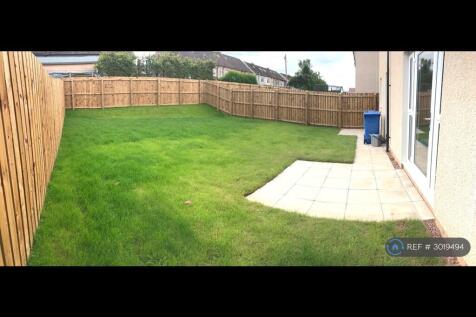 Back Garden 
