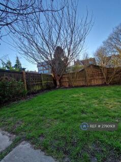 Garden And Shed