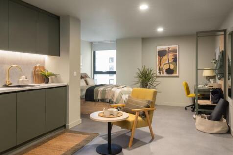 Roomy Studio Example