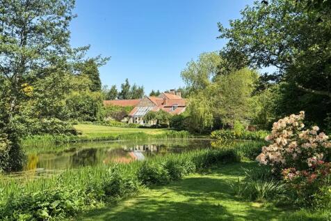 Reflection on the Mill Pond