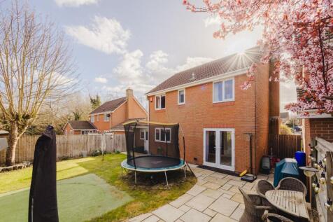 Property Image 26
