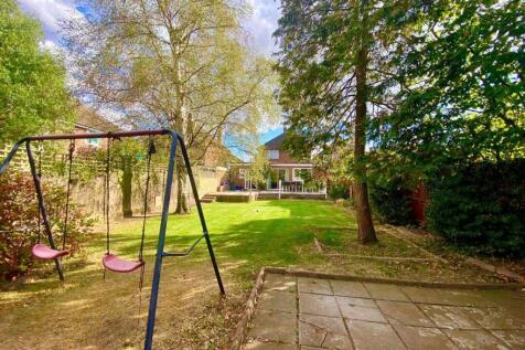 back garden.jpeg