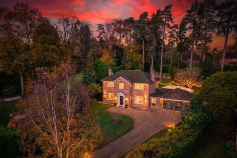 Twilight View