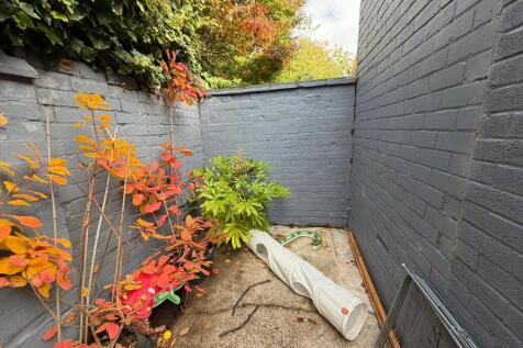 WhatsApp Image 20...