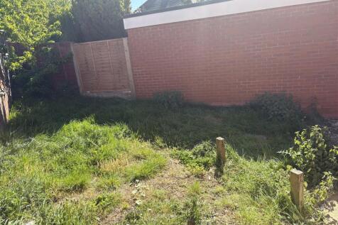 garden.jpeg