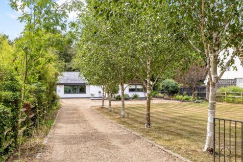 Tree-Lined Driveway
