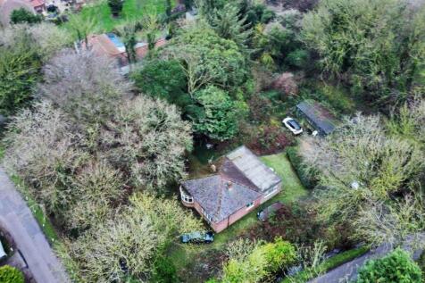 dji_fly_20260212_163952_362_1770914448354_photo_op