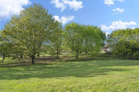 Green Space Opposite