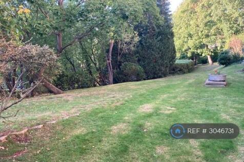 Large Garden To Enjoy In a Sunny Day