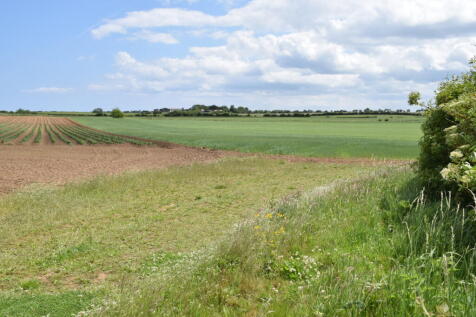 Farm Land for sale Image 5