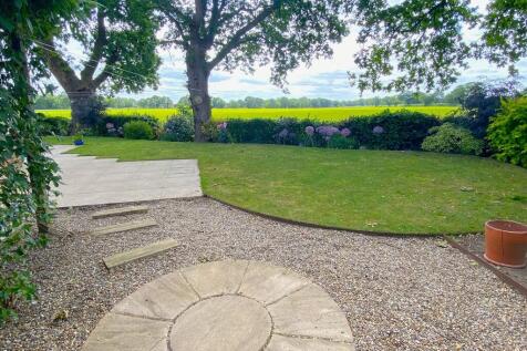 Garden detail 2