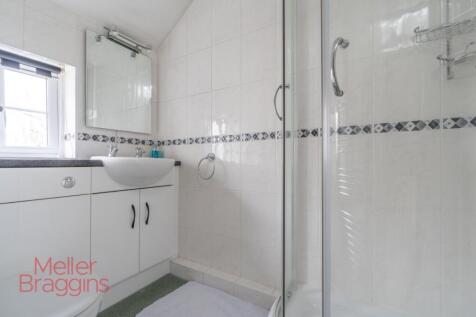 20250321-20250321-DSC07290 (2).jpg