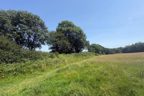 The Meadows-4.jpg