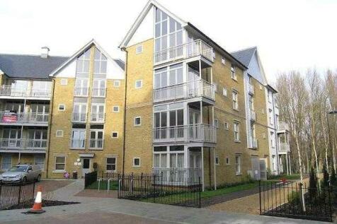Main Picture