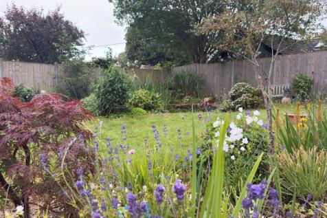 Garden.jpg