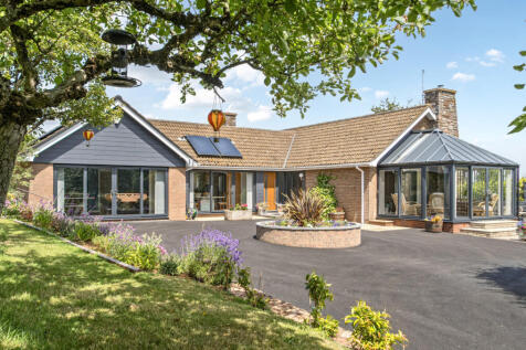 1315591-4-685db2e...